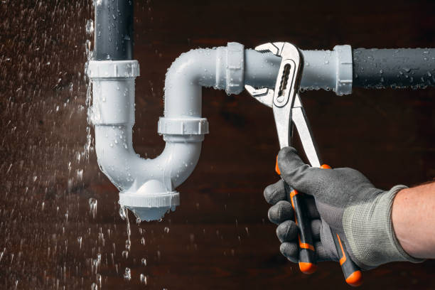Professional Plumbing technician working in Waggoner, IL